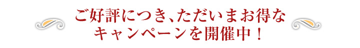 ご好評につき、ただいまお得なキャンペーンを開催中！